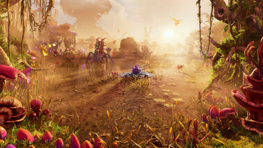 Fungal Swamp - Wild Art